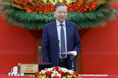 Ban Chỉ đạo Trung ương về phát triển khoa học - công nghệ, chuyển đổi số triển khai nhiệm vụ